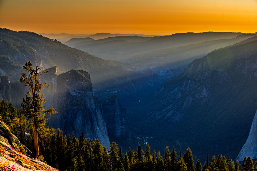 Yosemite National Park, CA