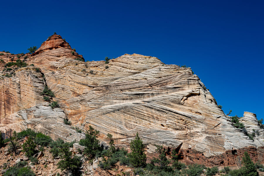 Zion National Park, UT