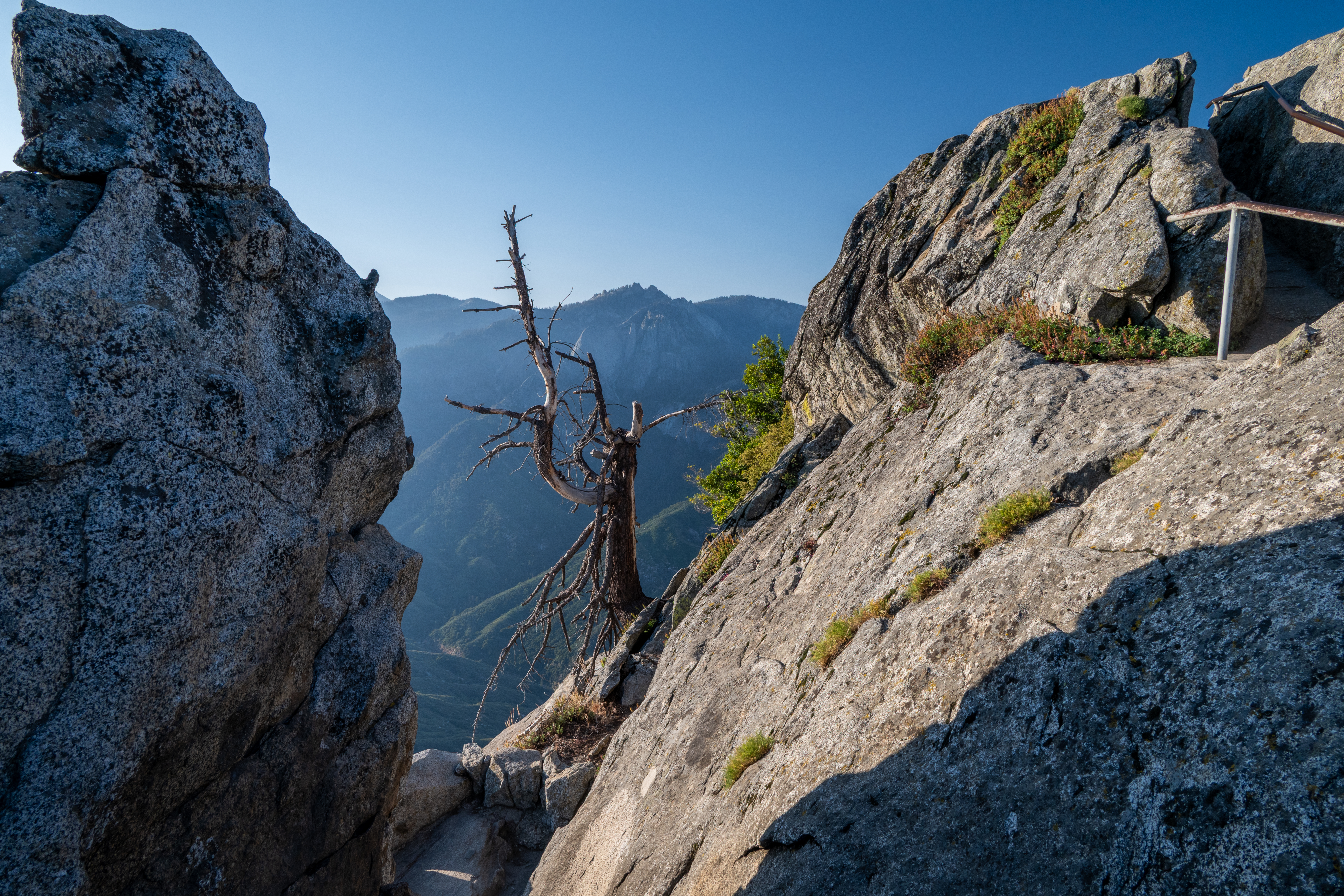 Sequioa National Park, CA