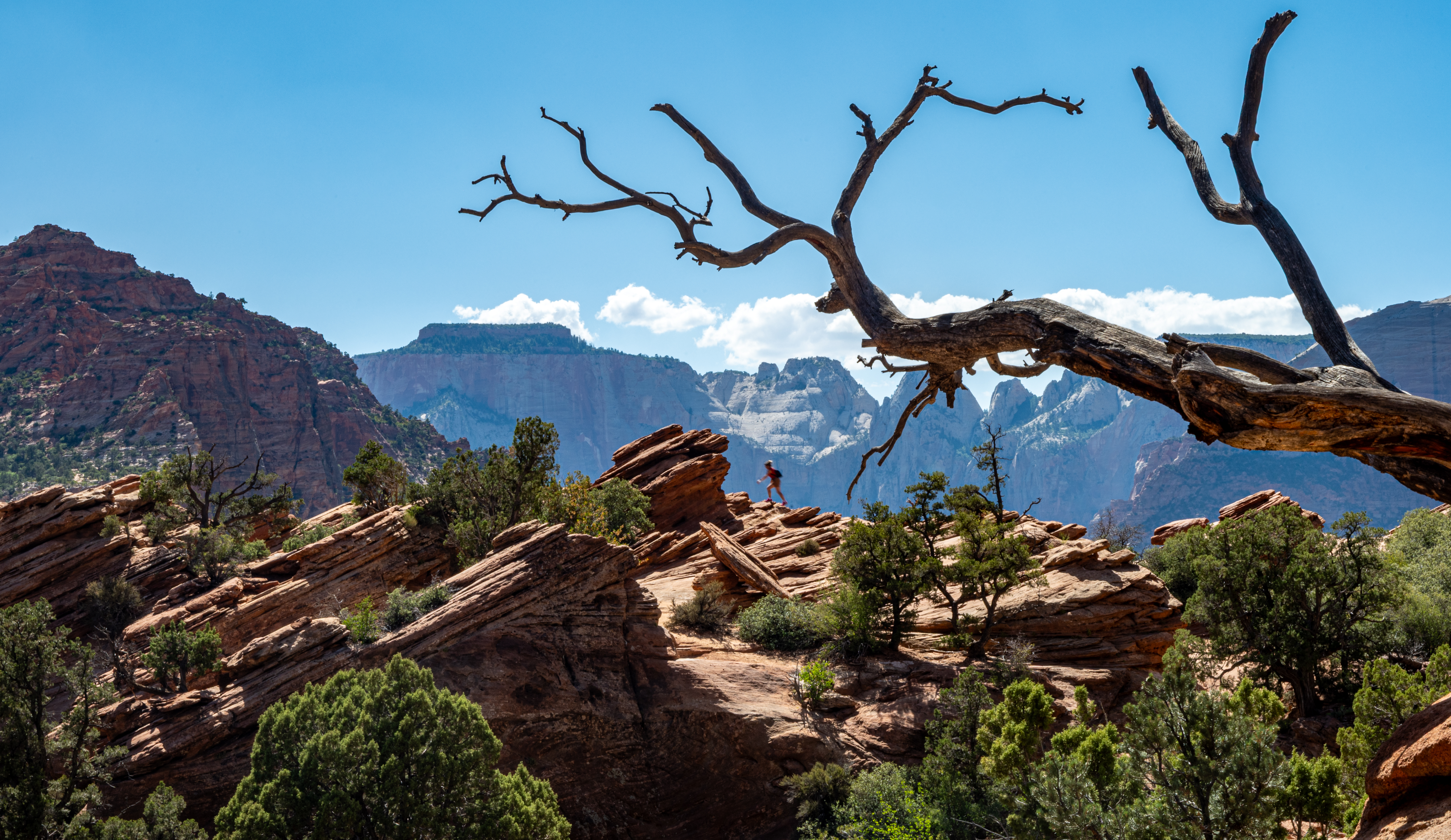 Zion National Park, UT